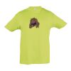 SOL'S Kids Regent T-Shirt Thumbnail